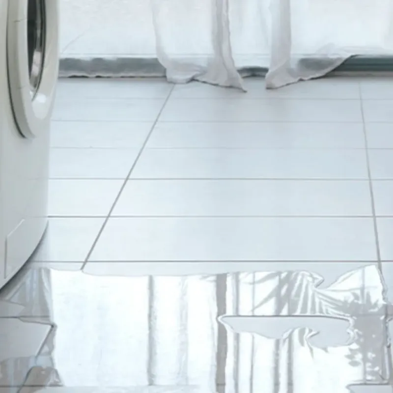 Appliance Leak Cleanup in Kingwood Area, TX