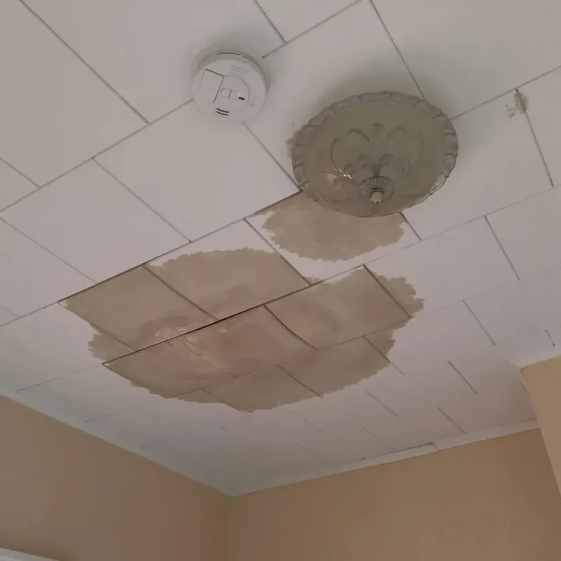Ceiling Water Damage Repair in Kingwood Area, TX
